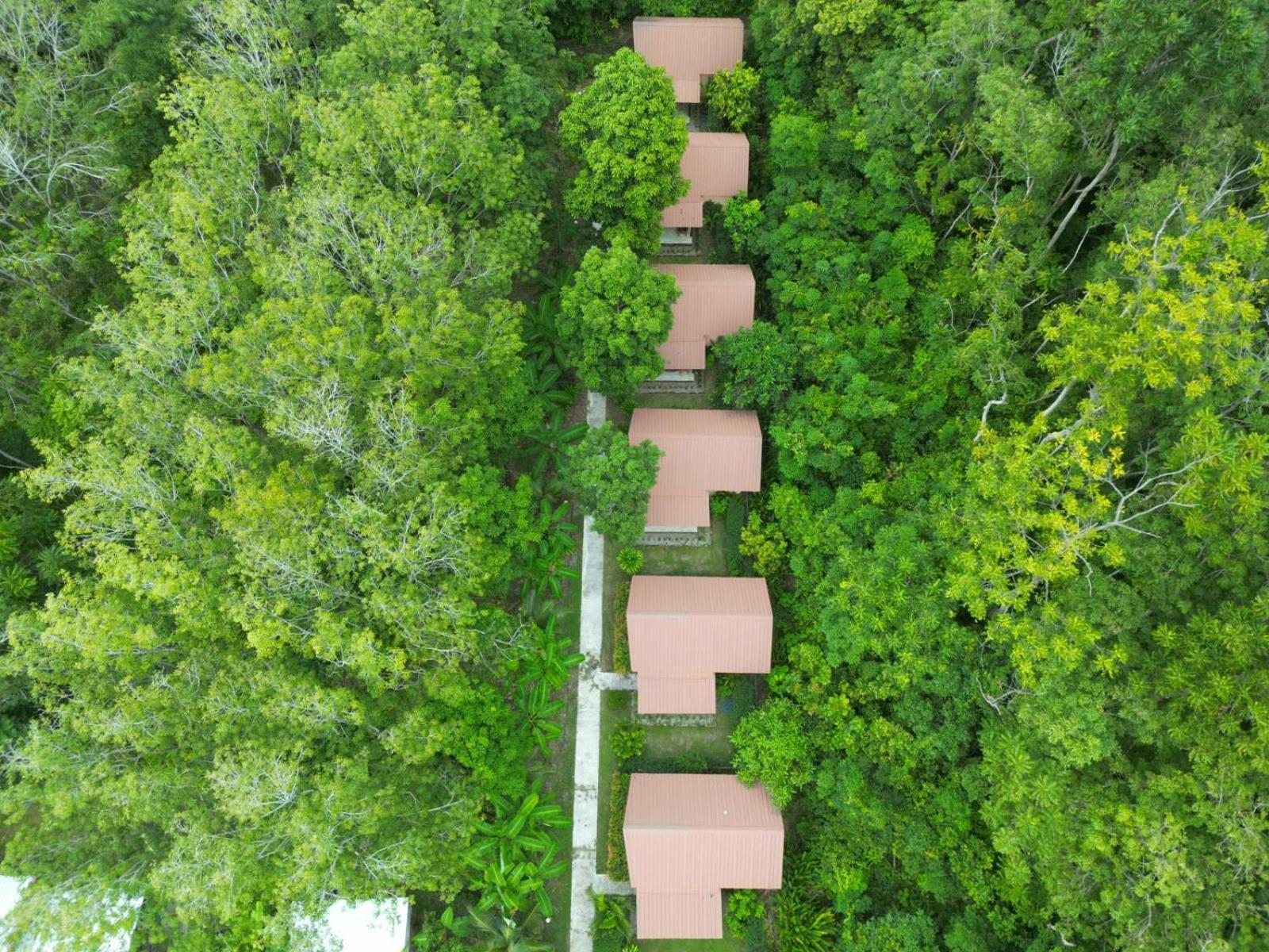Zabit Bungalow Koh Lanta Exterior photo